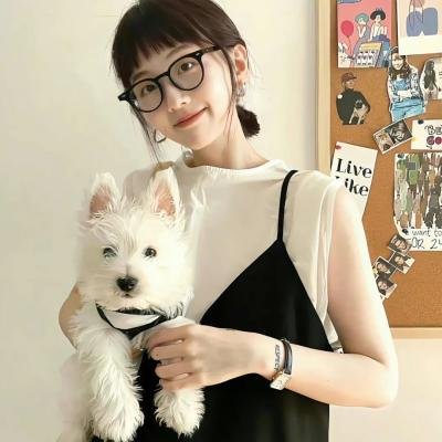 熊猫大侠